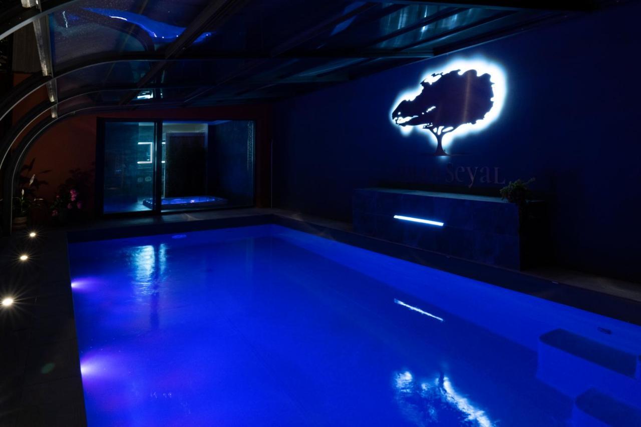 Villa Seyal - Avec Piscine - Jacuzzi - Sauna & Climatisation Λε Μανς Εξωτερικό φωτογραφία